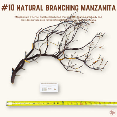Natural Branching Manzanita | WYSIWYG Pieces