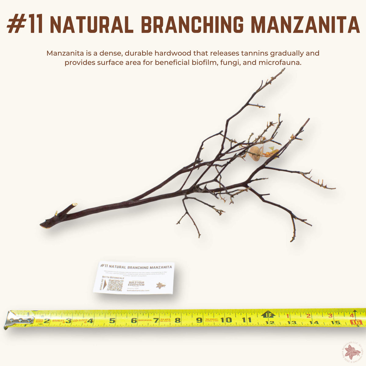 Natural Branching Manzanita | WYSIWYG Pieces