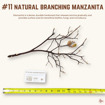 Natural Branching Manzanita | WYSIWYG Pieces
