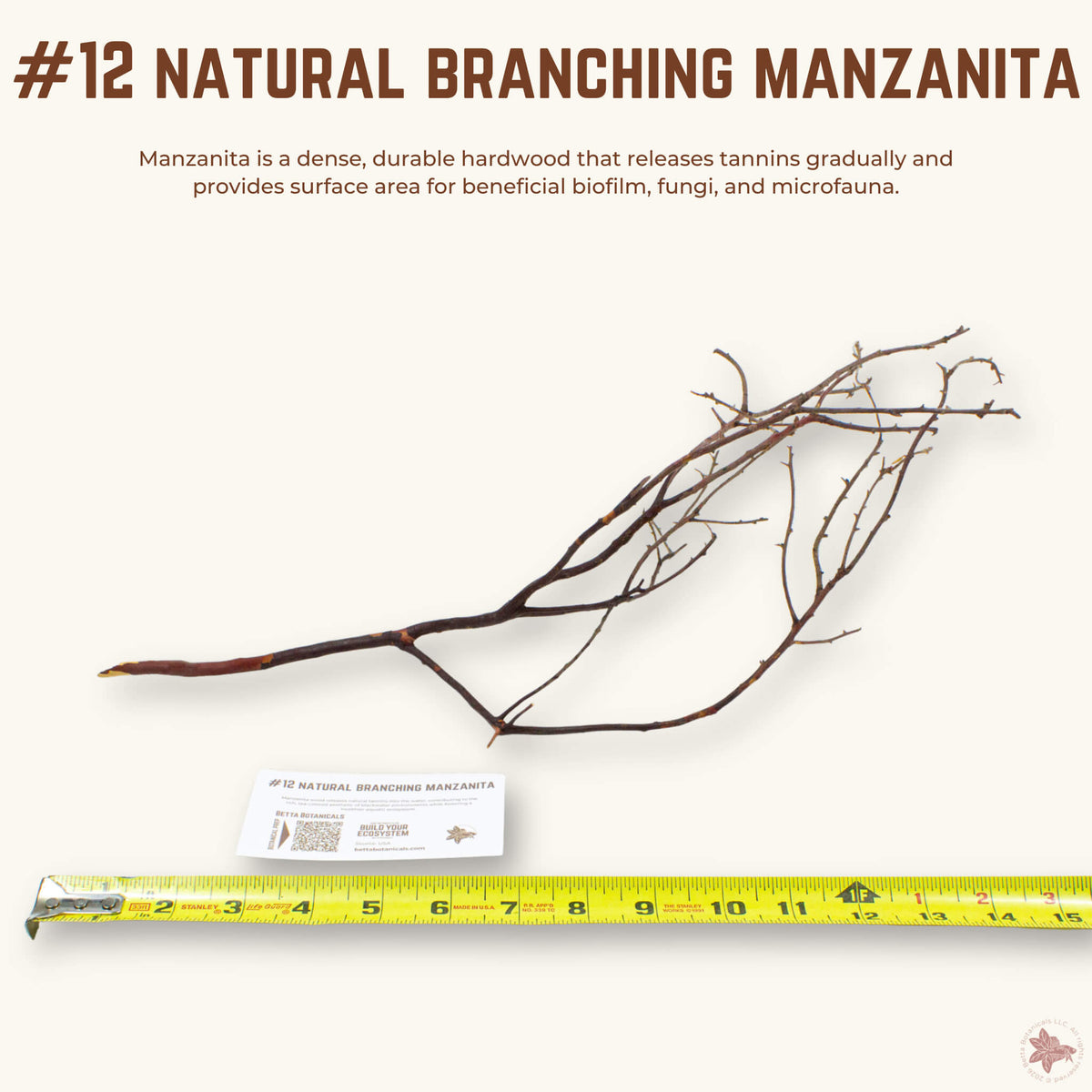 Natural Branching Manzanita | WYSIWYG Pieces