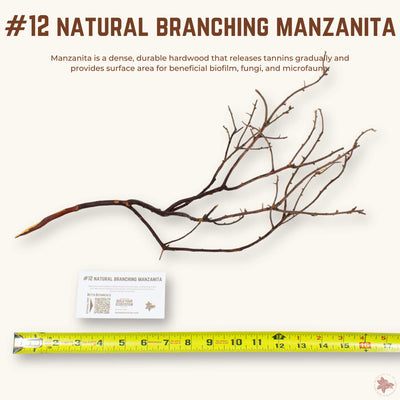 Natural Branching Manzanita | WYSIWYG Pieces