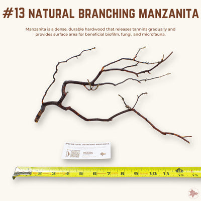 Natural Branching Manzanita | WYSIWYG Pieces