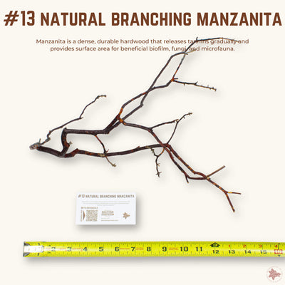Natural Branching Manzanita | WYSIWYG Pieces
