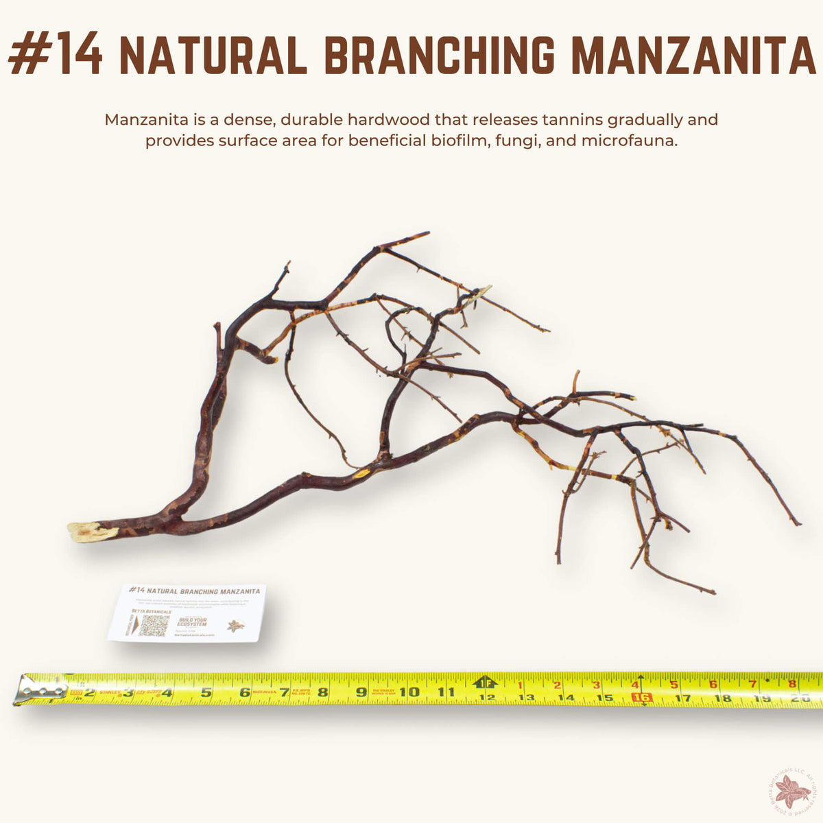 Natural Branching Manzanita | WYSIWYG Pieces