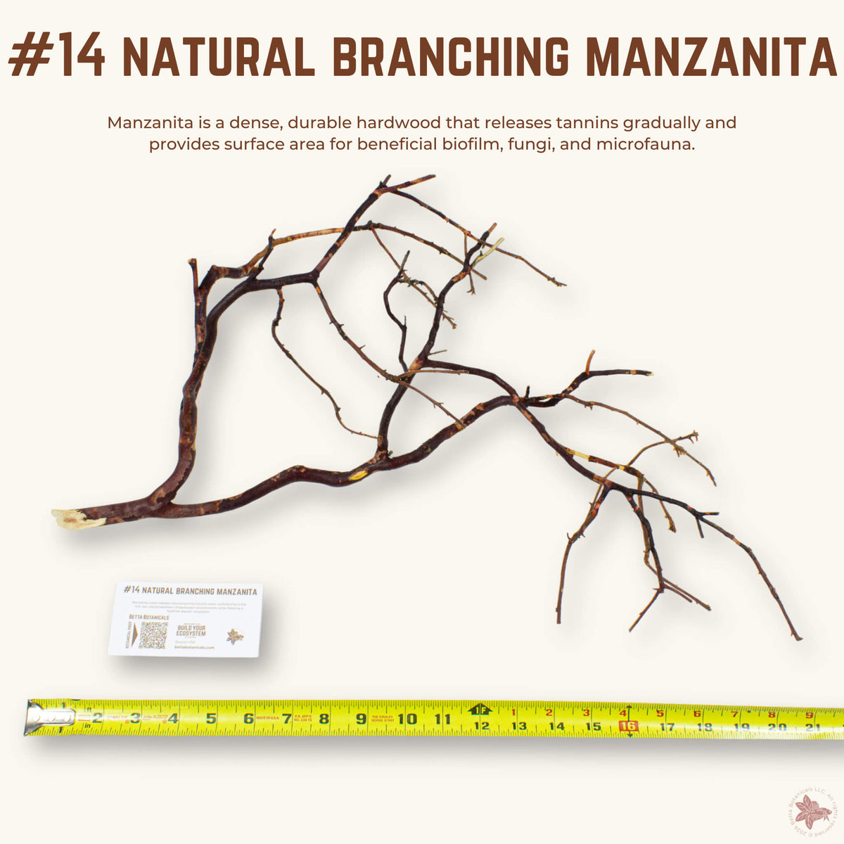 Natural Branching Manzanita | WYSIWYG Pieces