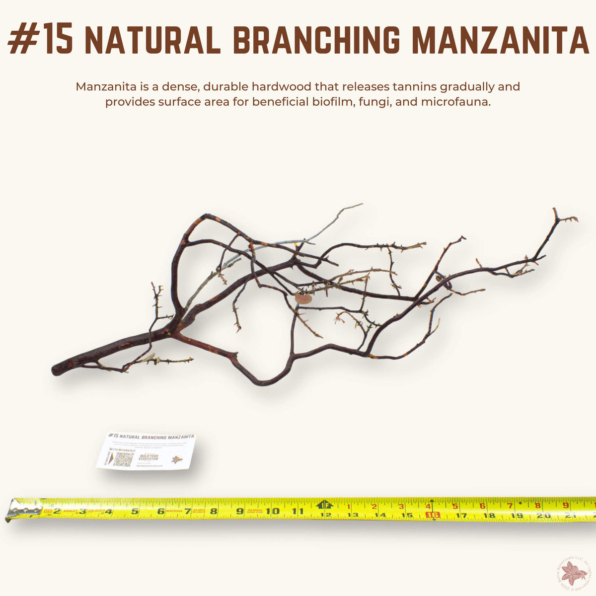 Natural Branching Manzanita | WYSIWYG Pieces