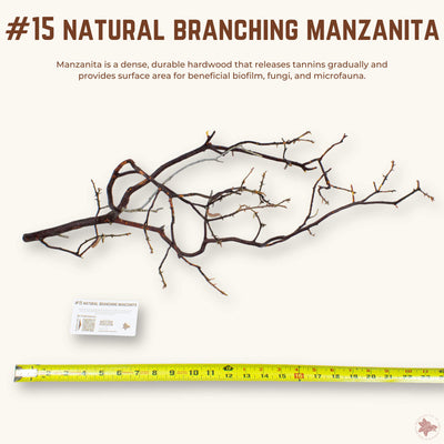 Natural Branching Manzanita | WYSIWYG Pieces