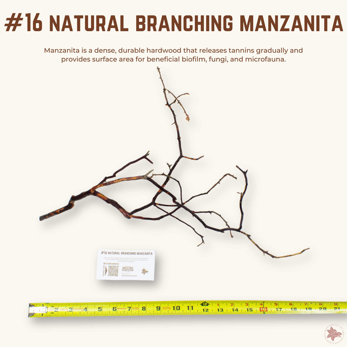 Natural Branching Manzanita | WYSIWYG Pieces