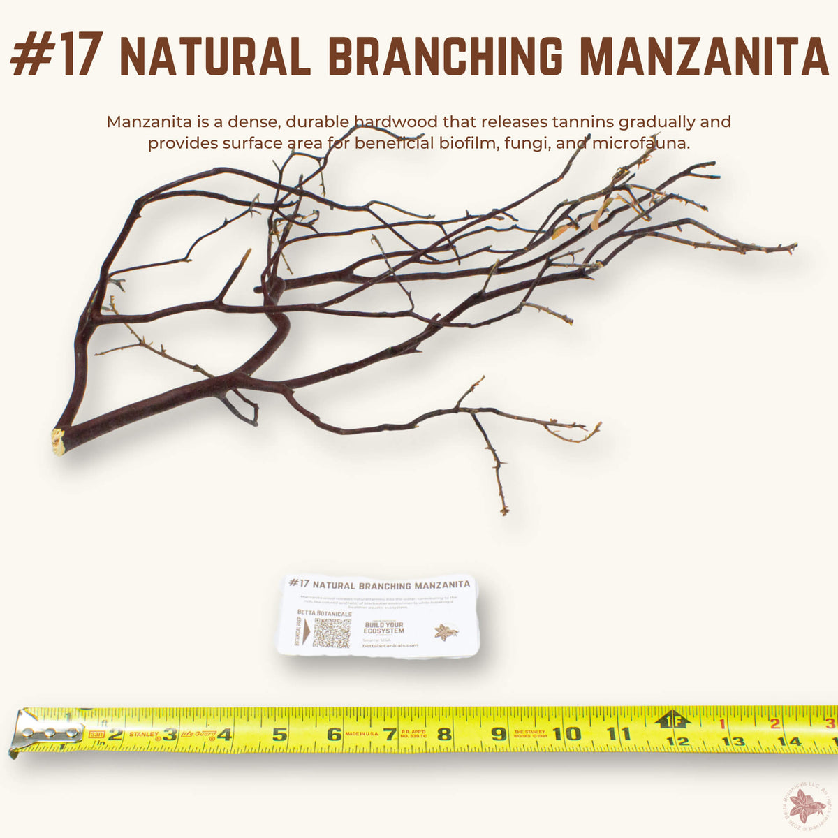 Natural Branching Manzanita | WYSIWYG Pieces