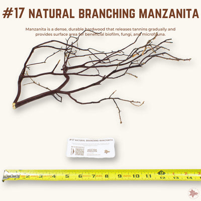 Natural Branching Manzanita | WYSIWYG Pieces