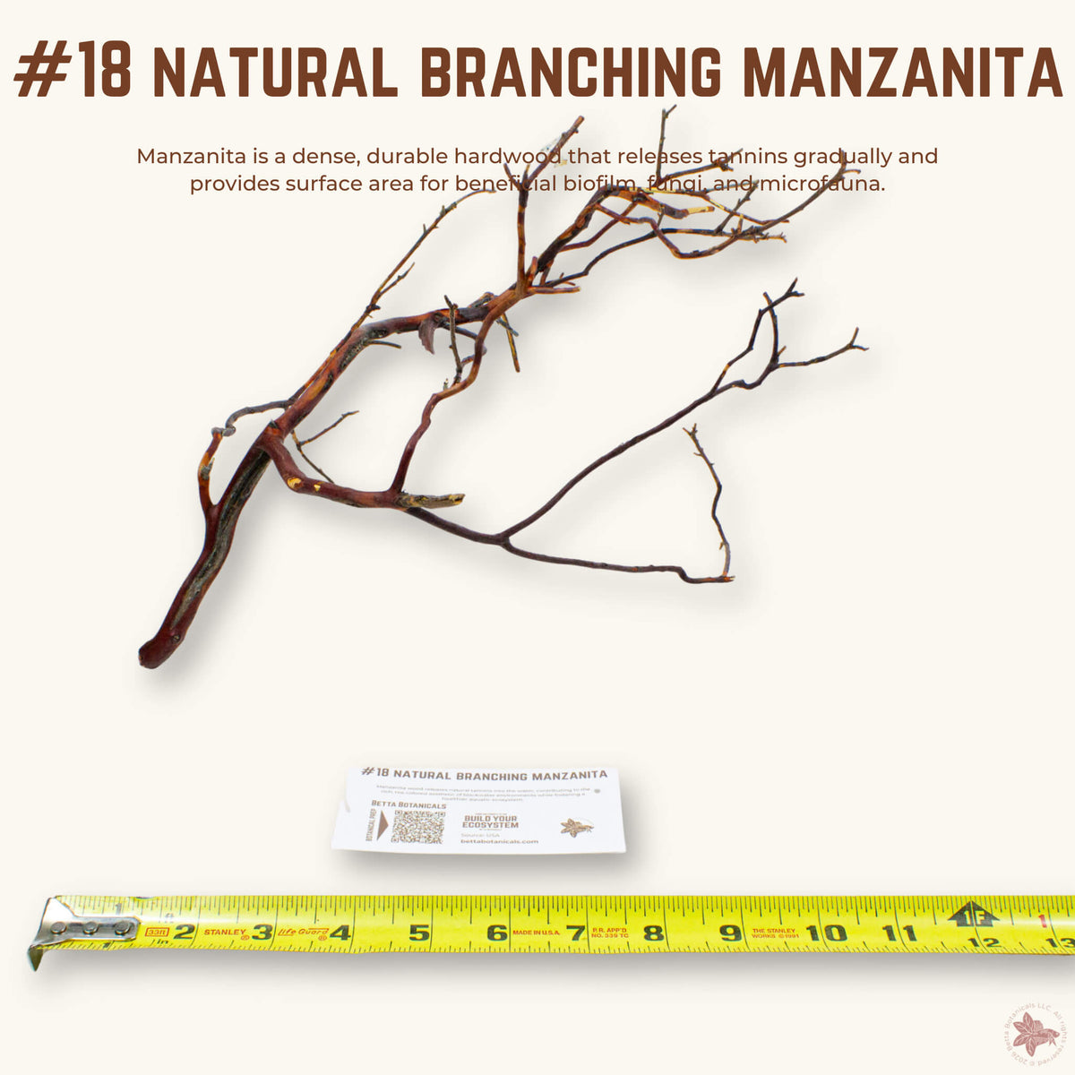Natural Branching Manzanita | WYSIWYG Pieces