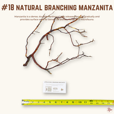Natural Branching Manzanita | WYSIWYG Pieces