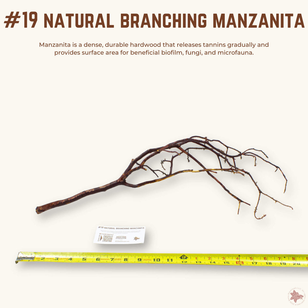 Natural Branching Manzanita | WYSIWYG Pieces