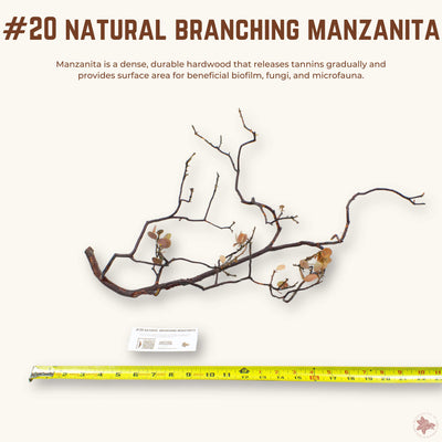 Natural Branching Manzanita | WYSIWYG Pieces