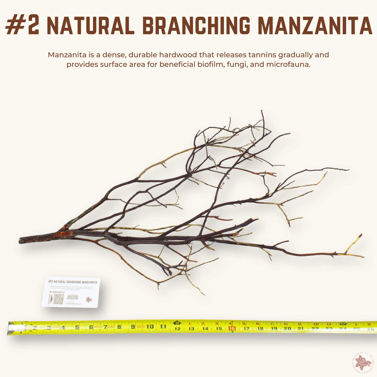 Natural Branching Manzanita | WYSIWYG Pieces