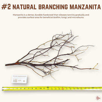Natural Branching Manzanita | WYSIWYG Pieces