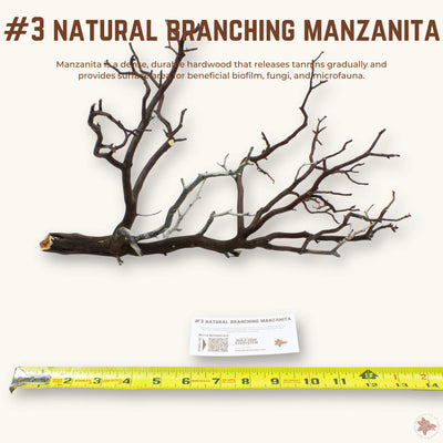 Natural Branching Manzanita | WYSIWYG Pieces