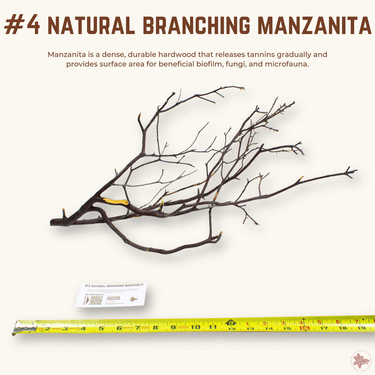 Natural Branching Manzanita | WYSIWYG Pieces