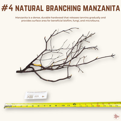 Natural Branching Manzanita | WYSIWYG Pieces