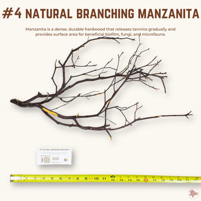 Natural Branching Manzanita | WYSIWYG Pieces