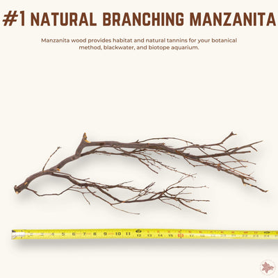 Natural Branching Manzanita | WYSIWYG Pieces