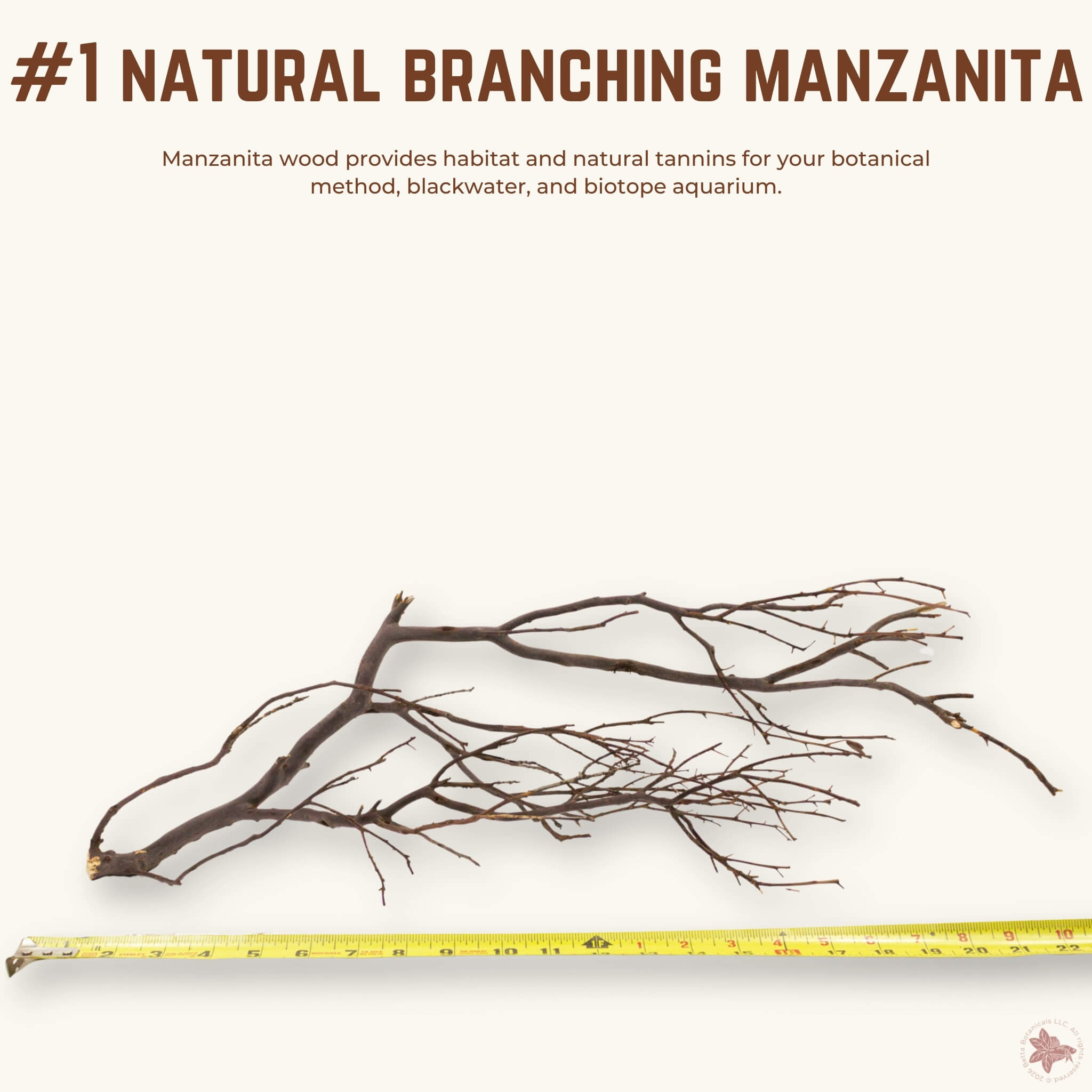 Natural Branching Manzanita | WYSIWYG Pieces