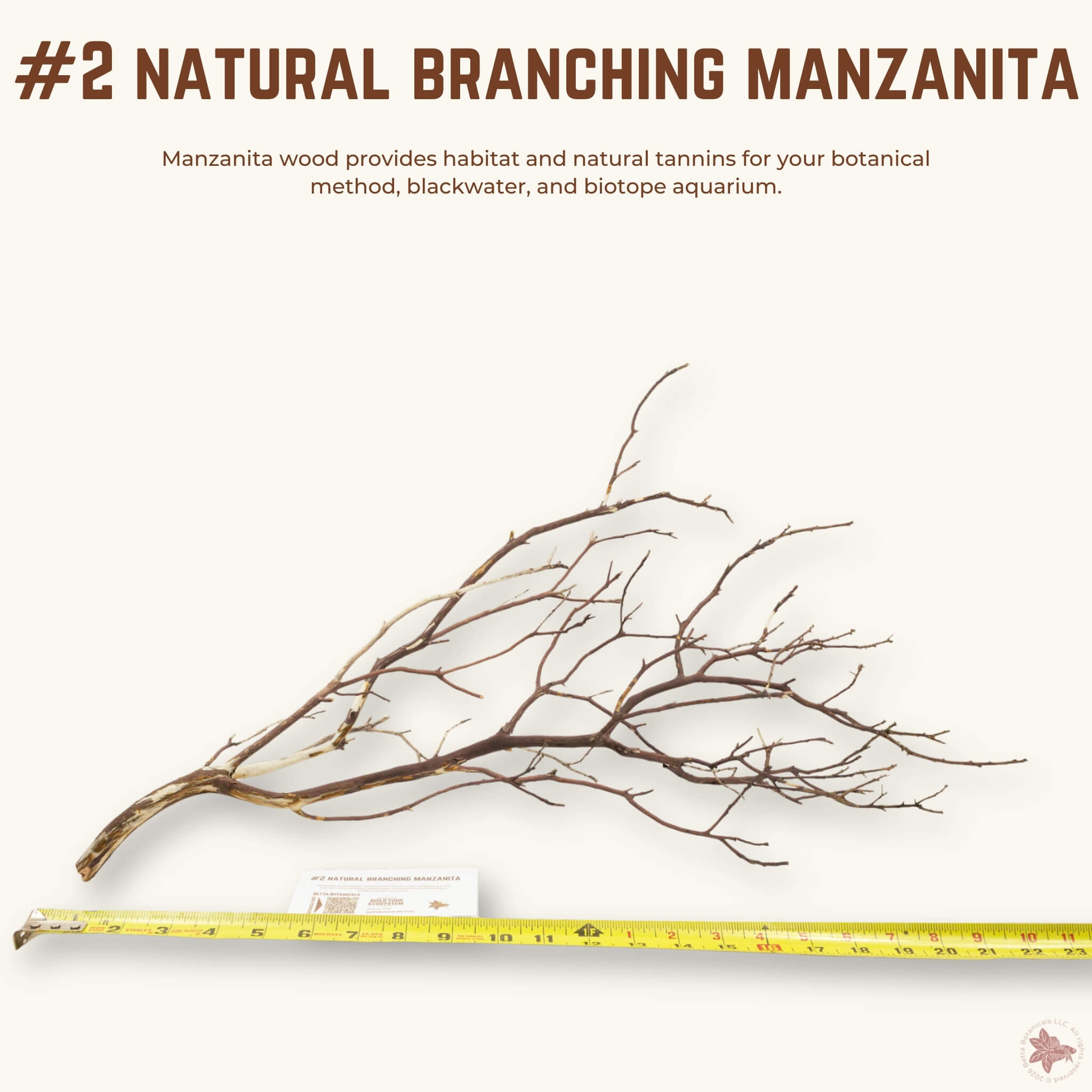 Natural Branching Manzanita | WYSIWYG Pieces