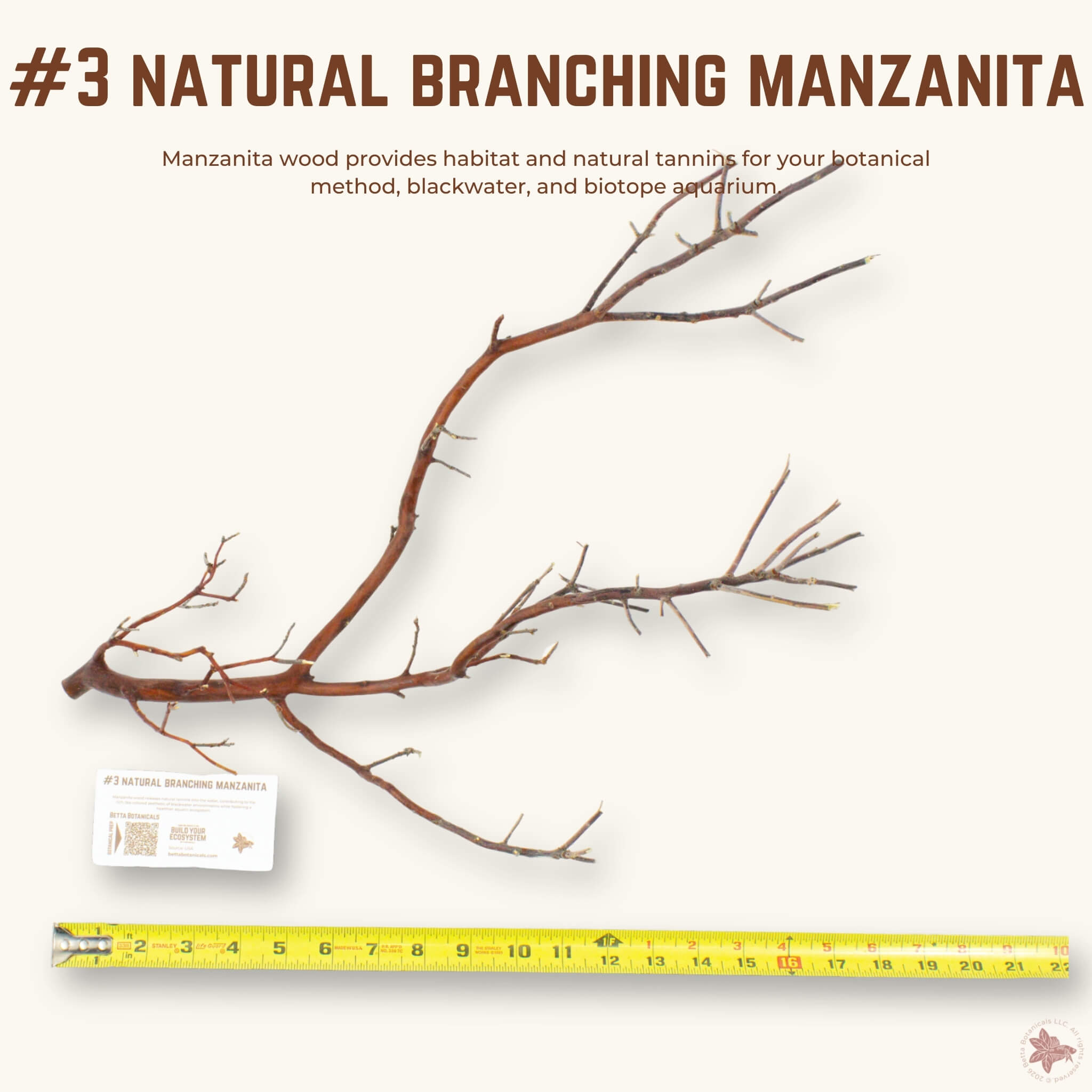 Natural Branching Manzanita | WYSIWYG Pieces