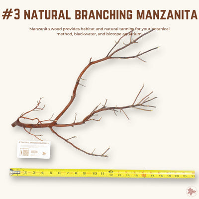 Natural Branching Manzanita | WYSIWYG Pieces