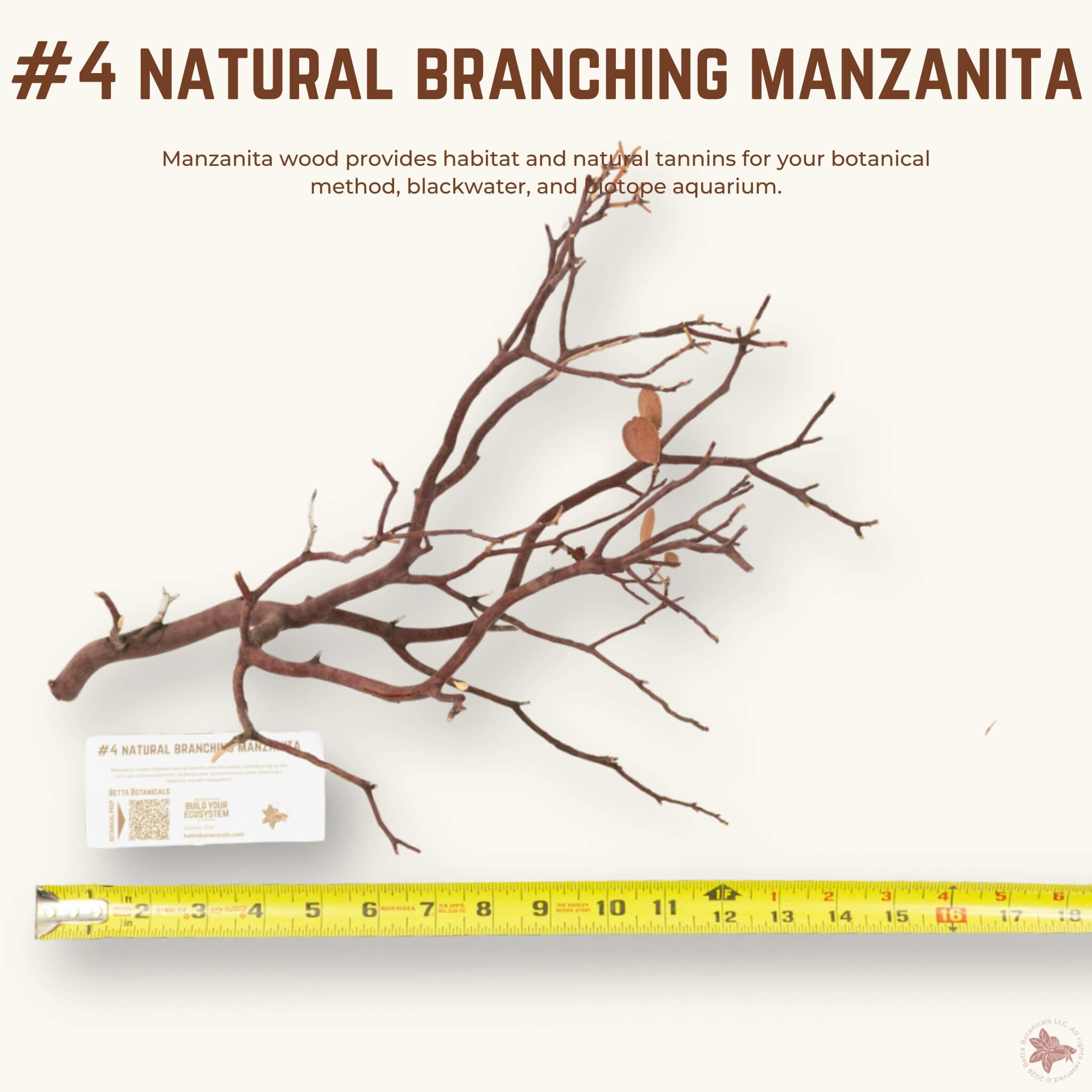 Natural Branching Manzanita | WYSIWYG Pieces