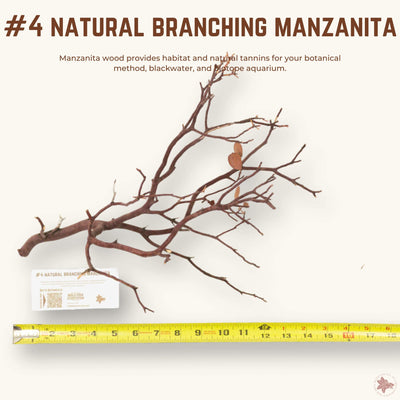 Natural Branching Manzanita | WYSIWYG Pieces