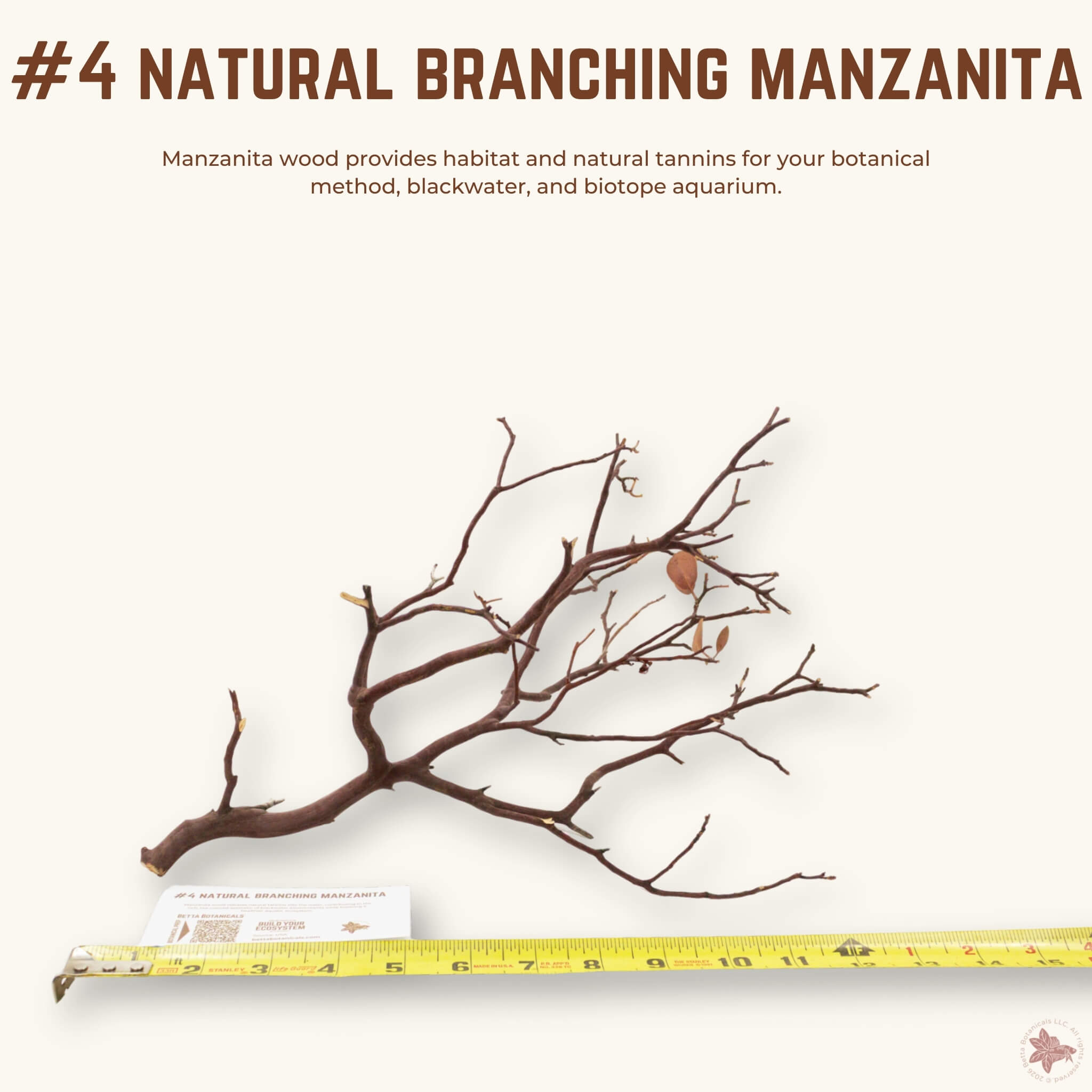 Natural Branching Manzanita | WYSIWYG Pieces
