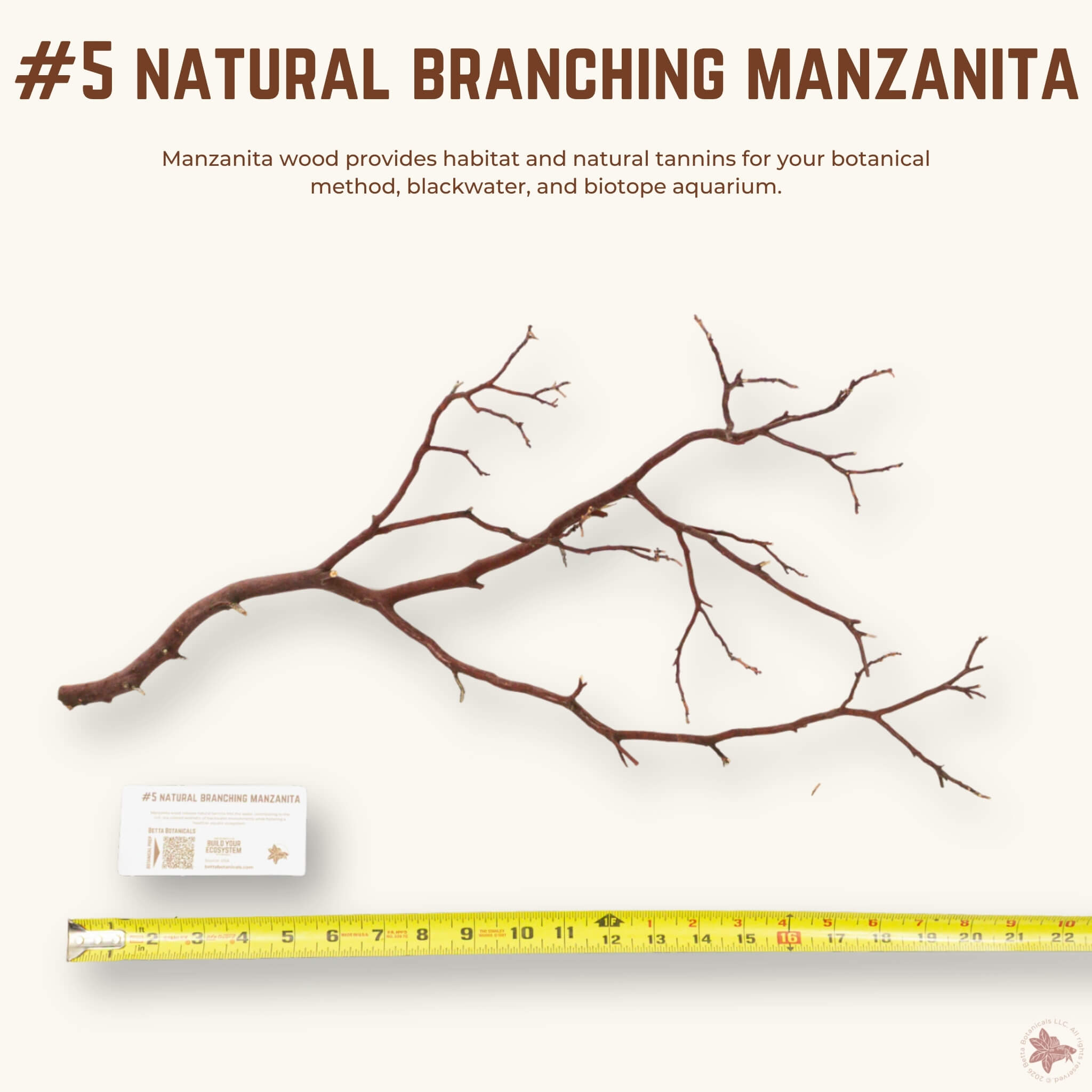 Natural Branching Manzanita | WYSIWYG Pieces