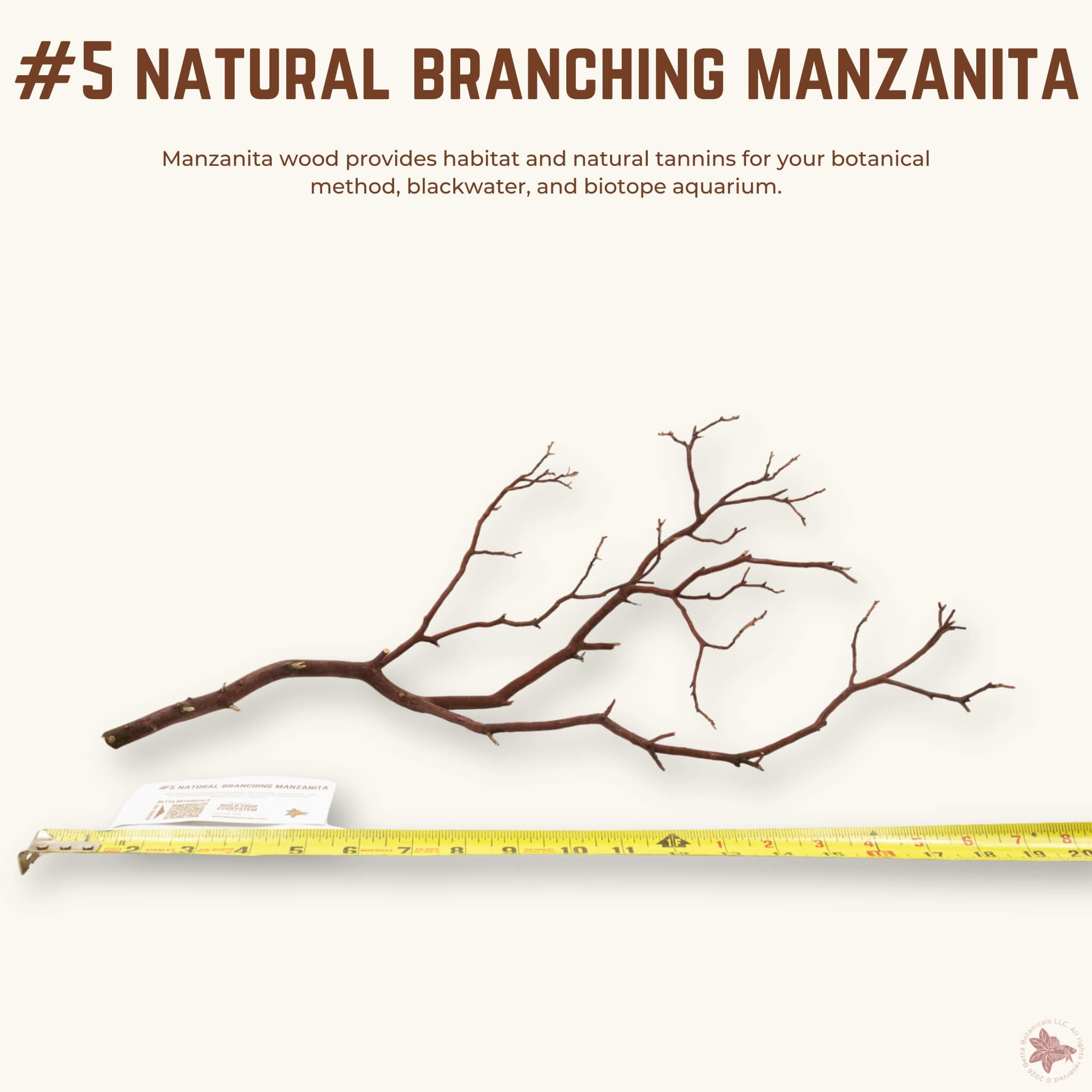 Natural Branching Manzanita | WYSIWYG Pieces