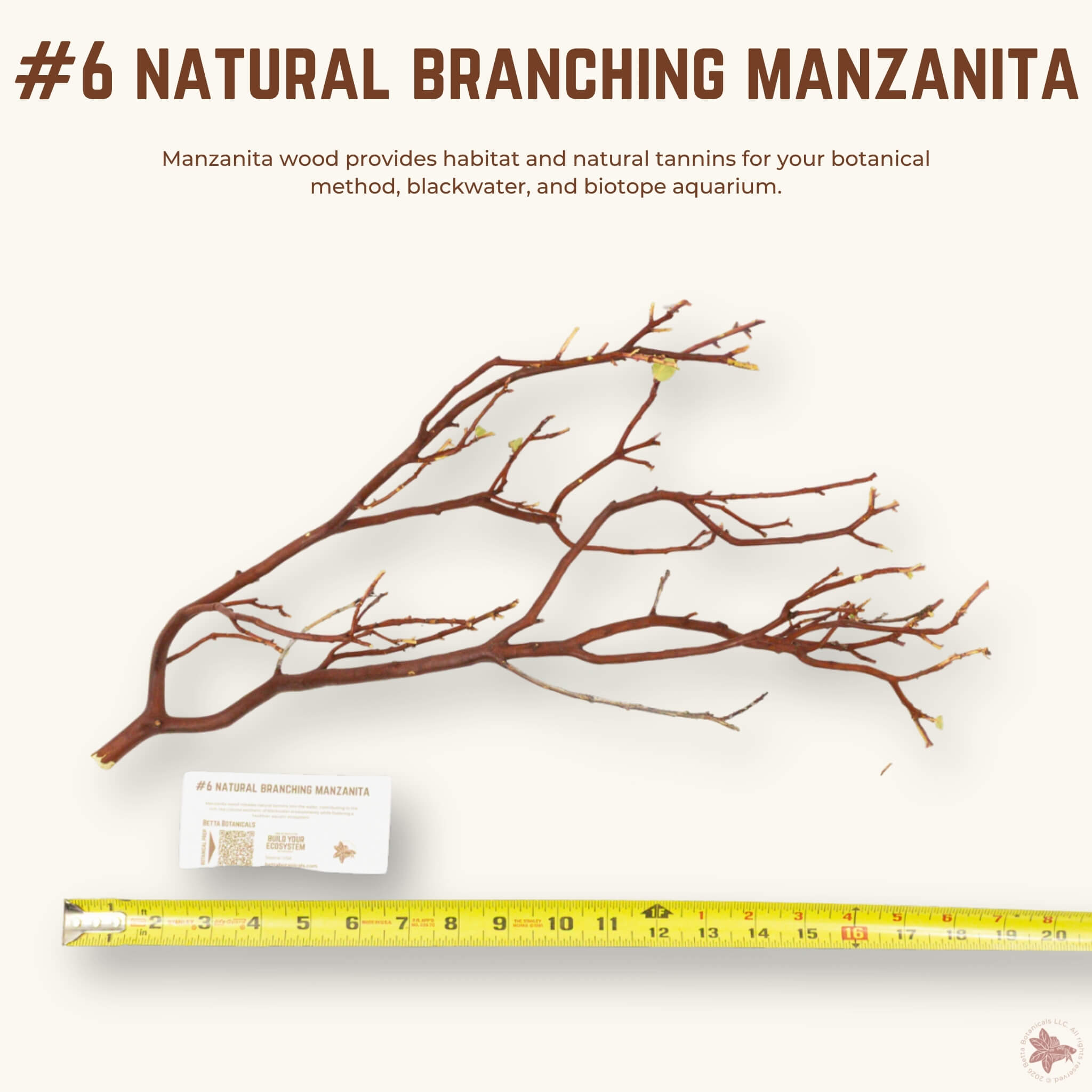 Natural Branching Manzanita | WYSIWYG Pieces