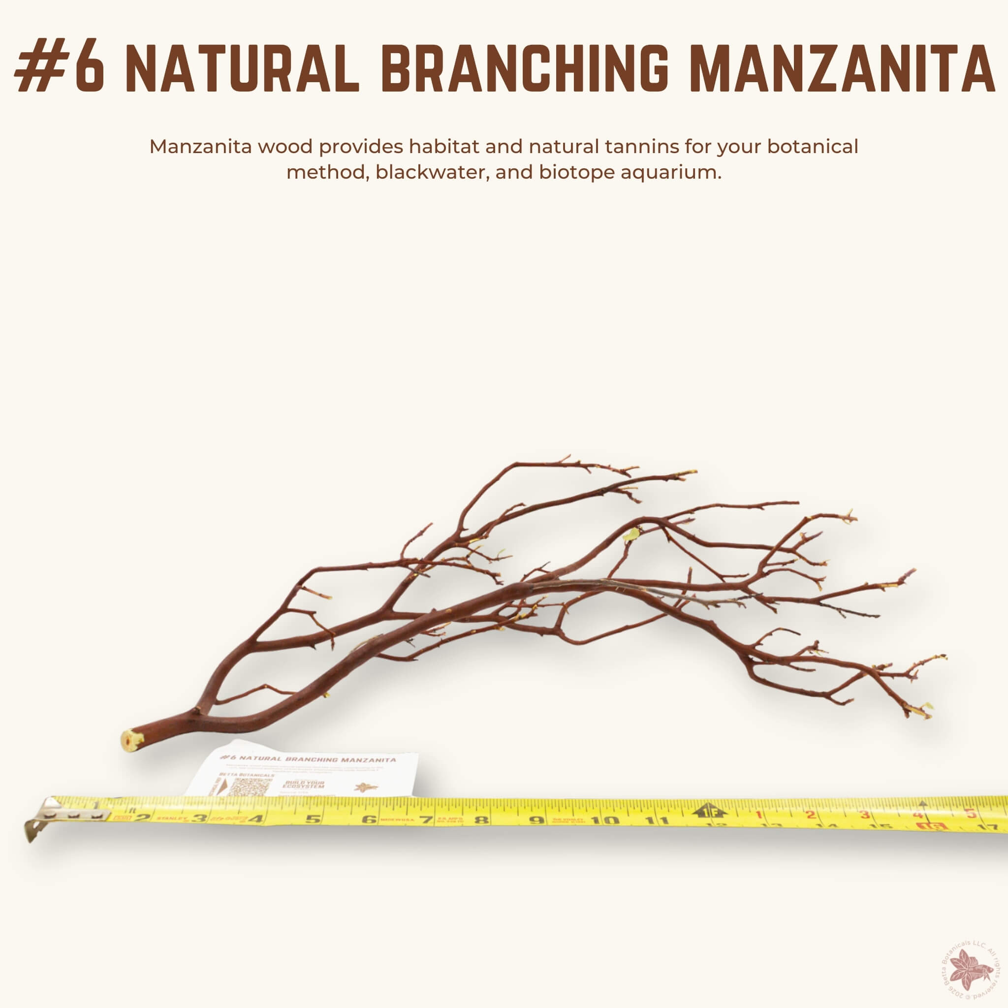 Natural Branching Manzanita | WYSIWYG Pieces