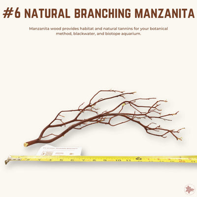Natural Branching Manzanita | WYSIWYG Pieces