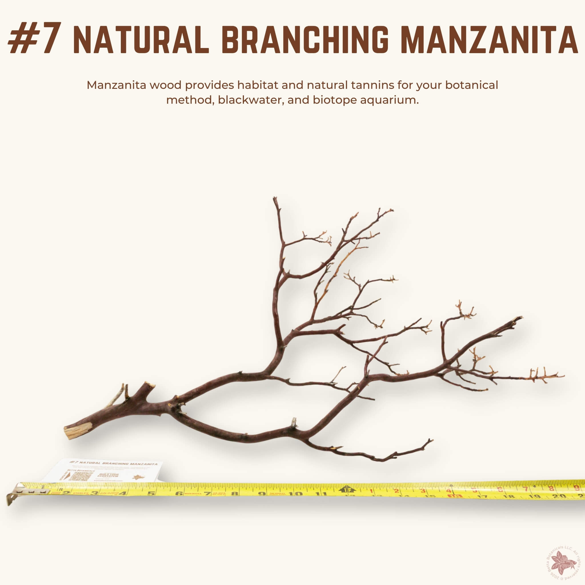 Natural Branching Manzanita | WYSIWYG Pieces