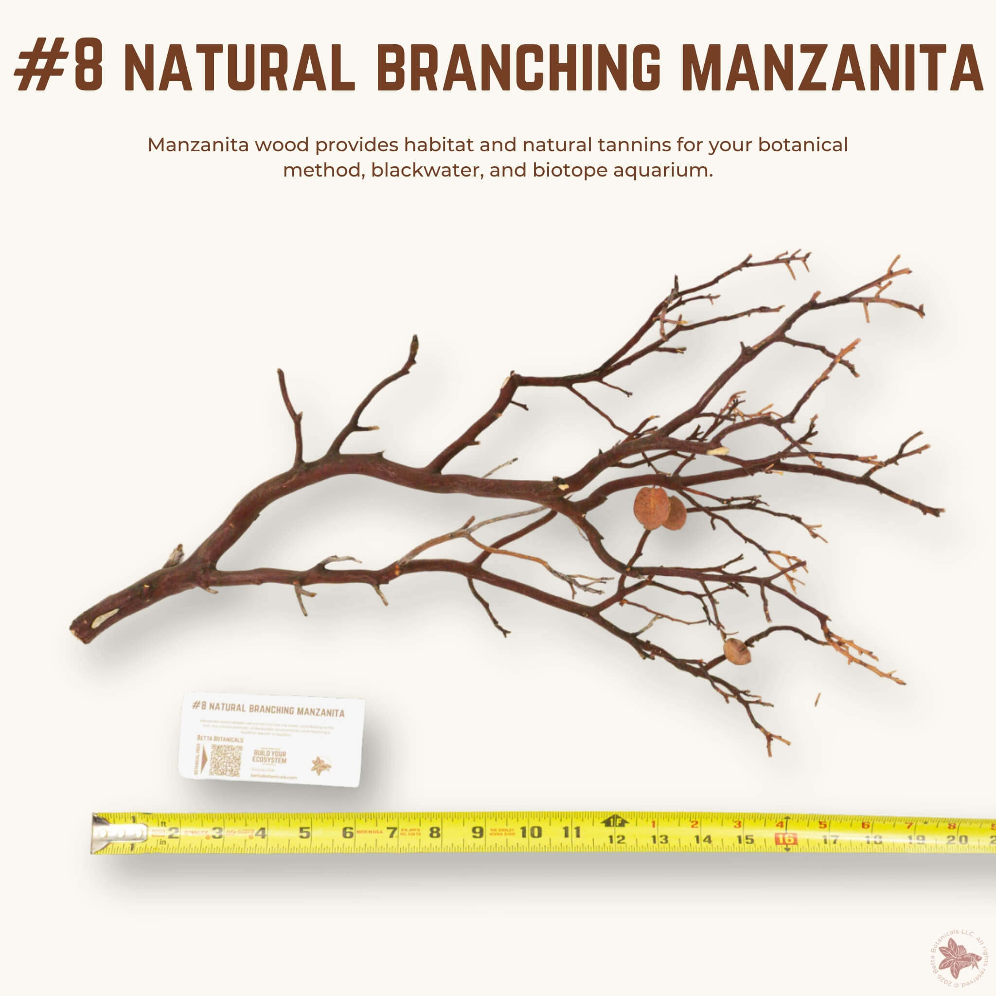 Natural Branching Manzanita | WYSIWYG Pieces