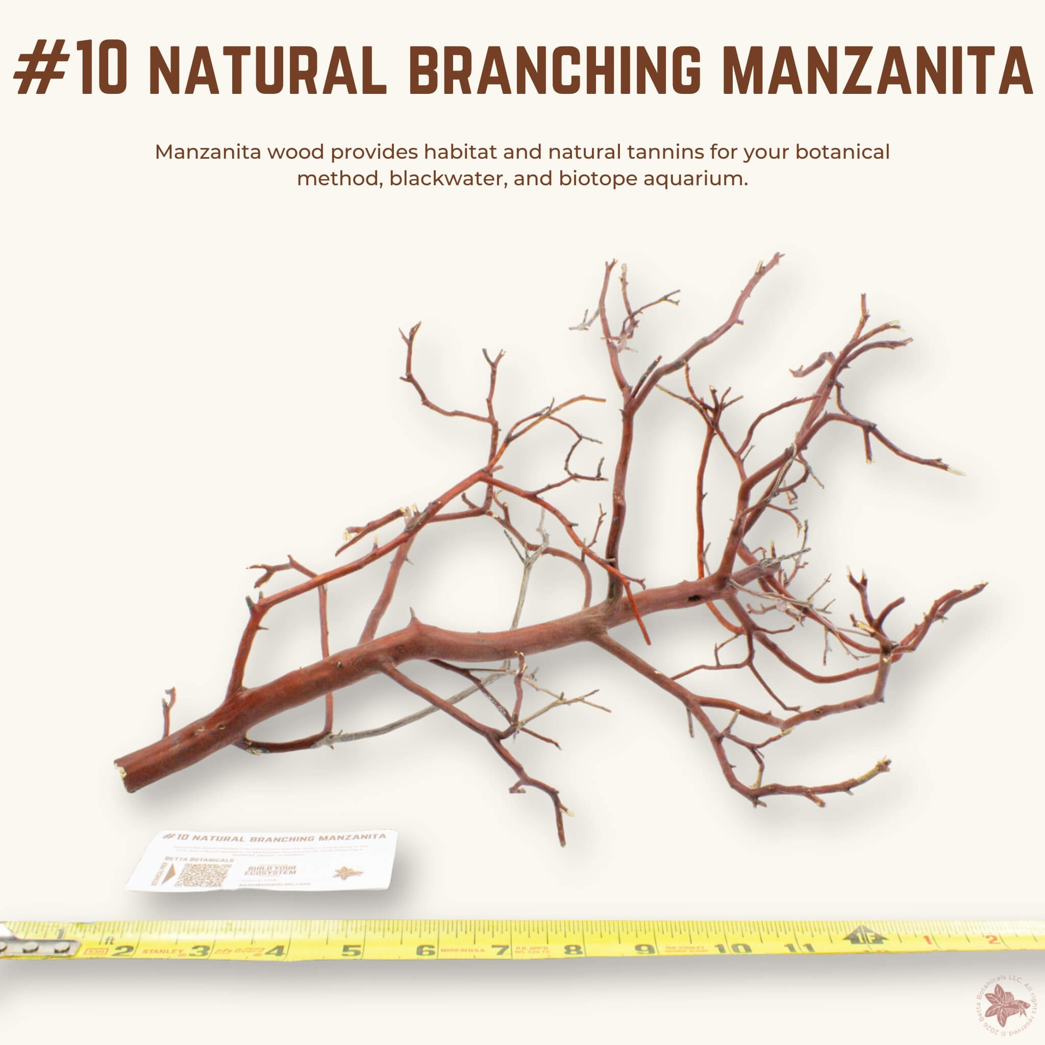 Natural Branching Manzanita | WYSIWYG Pieces