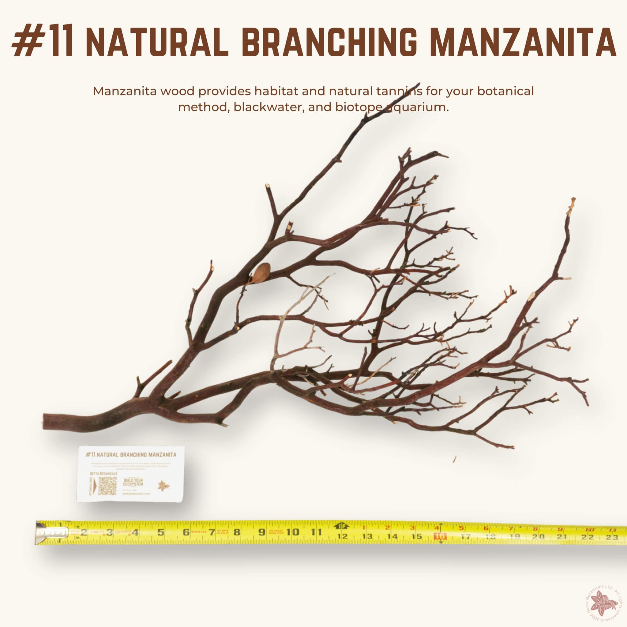 Natural Branching Manzanita | WYSIWYG Pieces