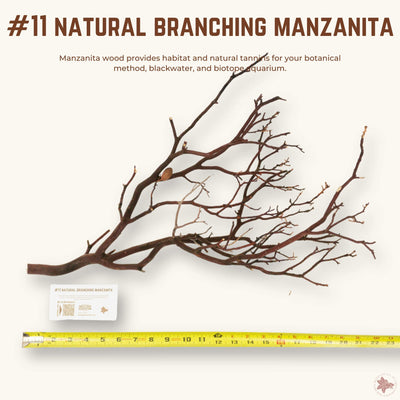 Natural Branching Manzanita | WYSIWYG Pieces