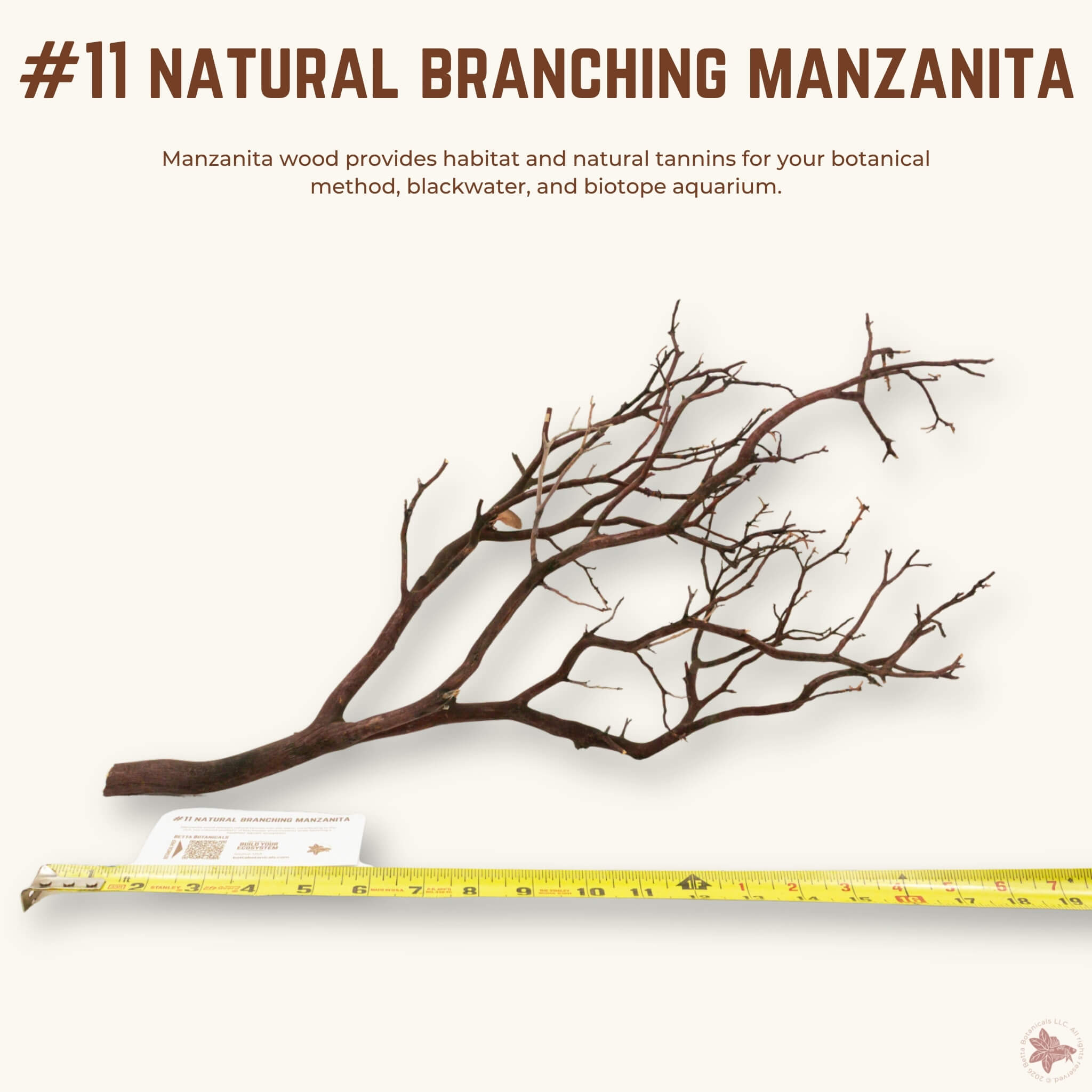 Natural Branching Manzanita | WYSIWYG Pieces