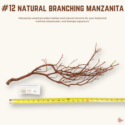 Natural Branching Manzanita | WYSIWYG Pieces