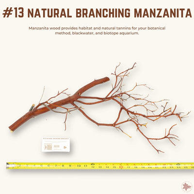 Natural Branching Manzanita | WYSIWYG Pieces