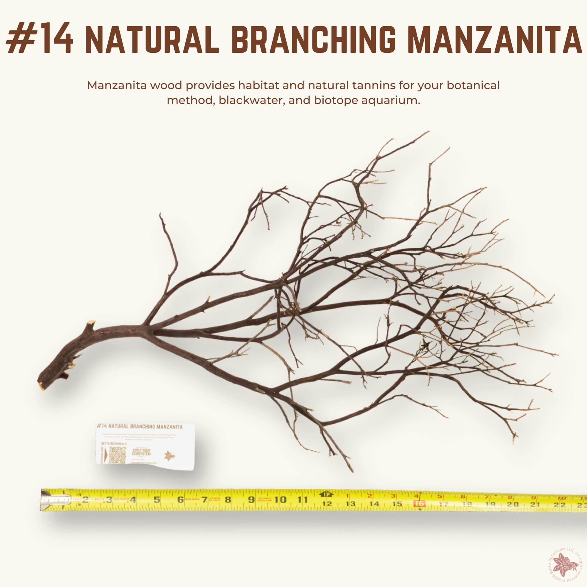 Natural Branching Manzanita | WYSIWYG Pieces