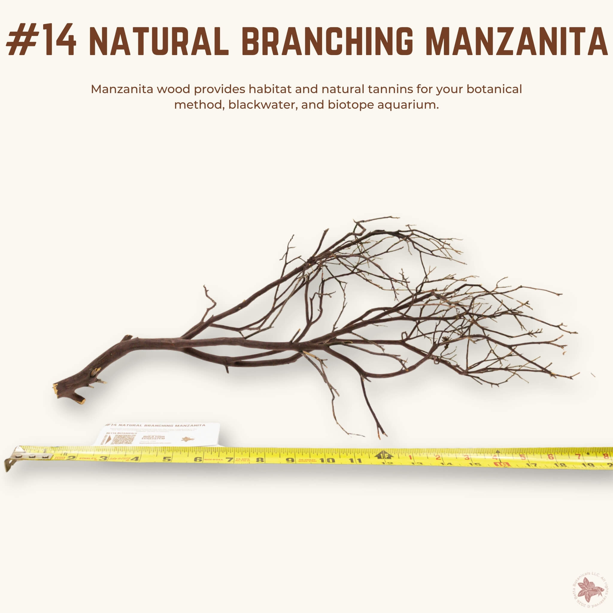 Natural Branching Manzanita | WYSIWYG Pieces