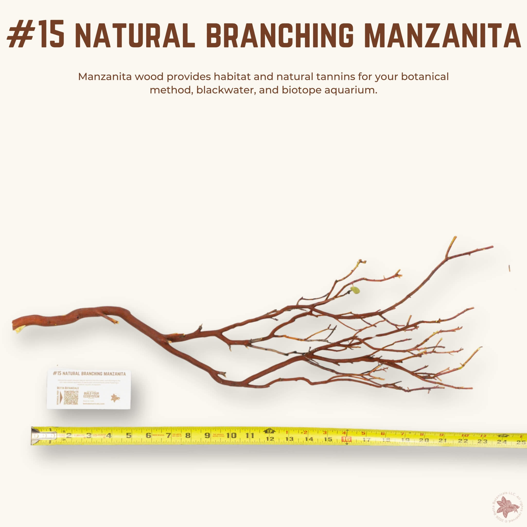 Natural Branching Manzanita | WYSIWYG Pieces