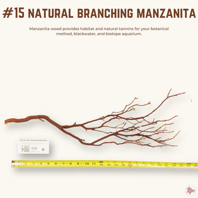 Natural Branching Manzanita | WYSIWYG Pieces