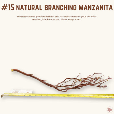 Natural Branching Manzanita | WYSIWYG Pieces